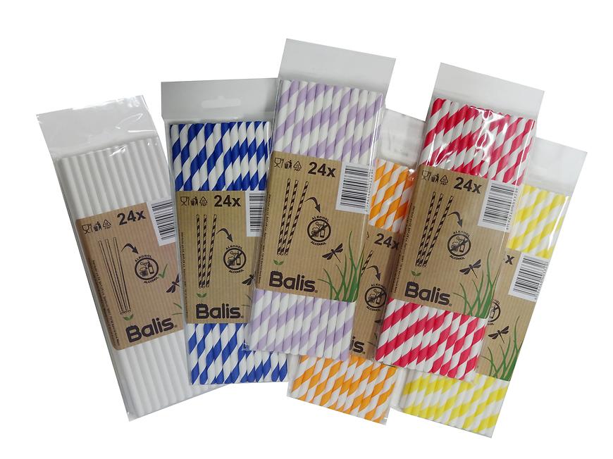 Brčka papírová 24KS BAUMAX