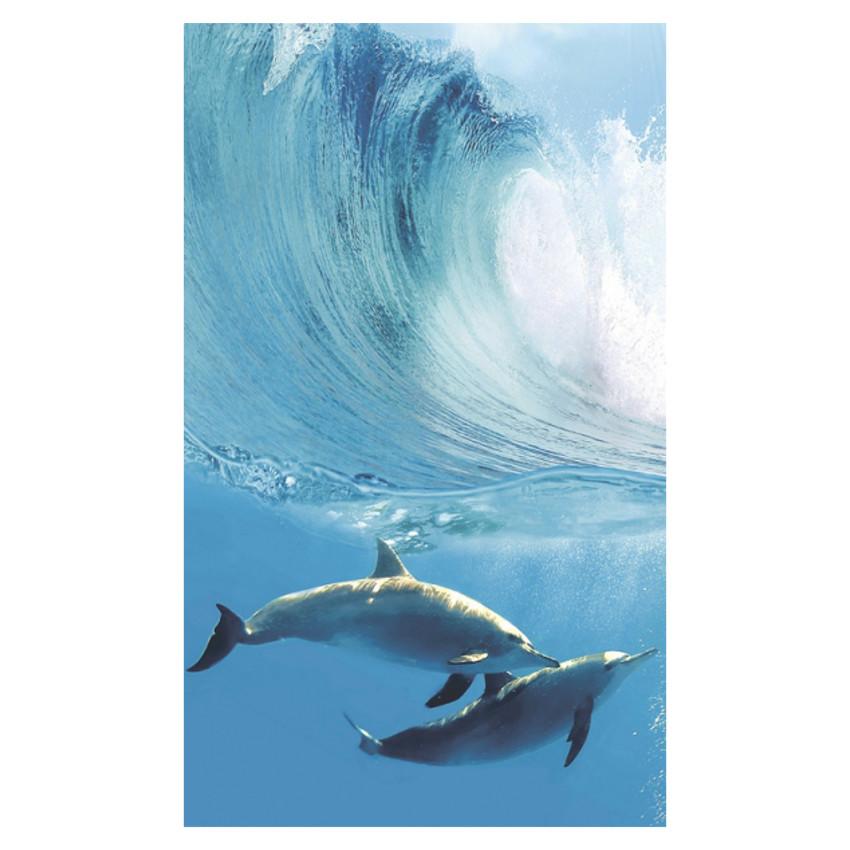 Dekor delfíni A - sada 100/60 CERROL