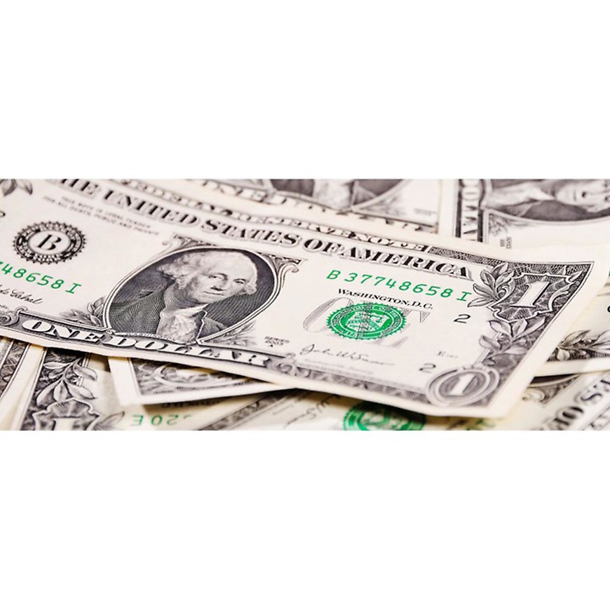 Dekor skleněný - dolary 20/50 INNA