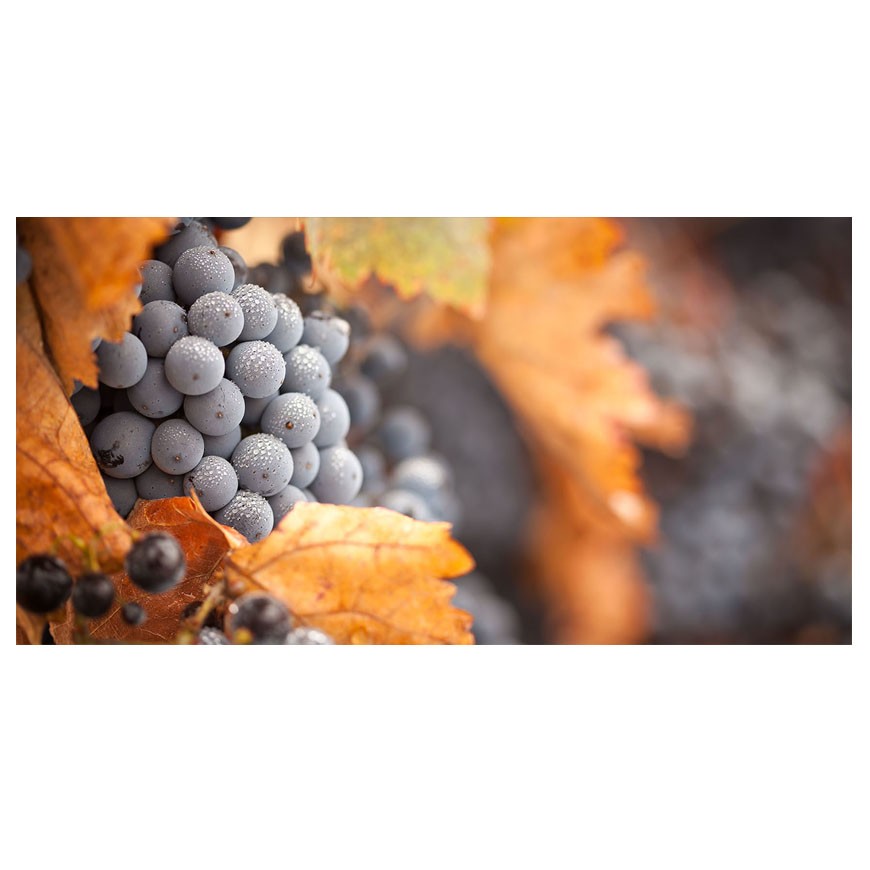 Dekor skleněný - hrozny 1 30/60 INNA