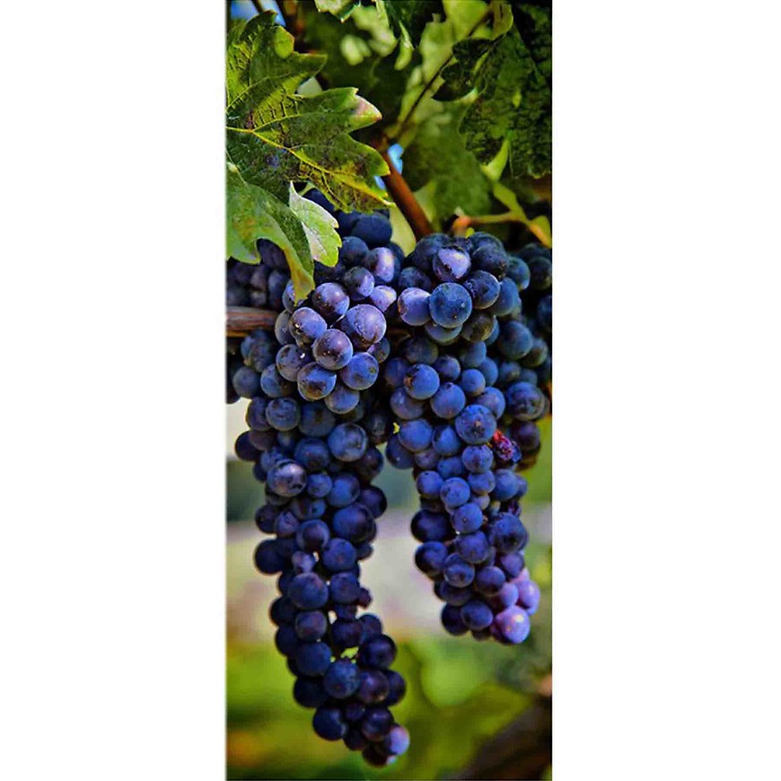 Dekor skleněný - hrozny 2 20/50 INNA