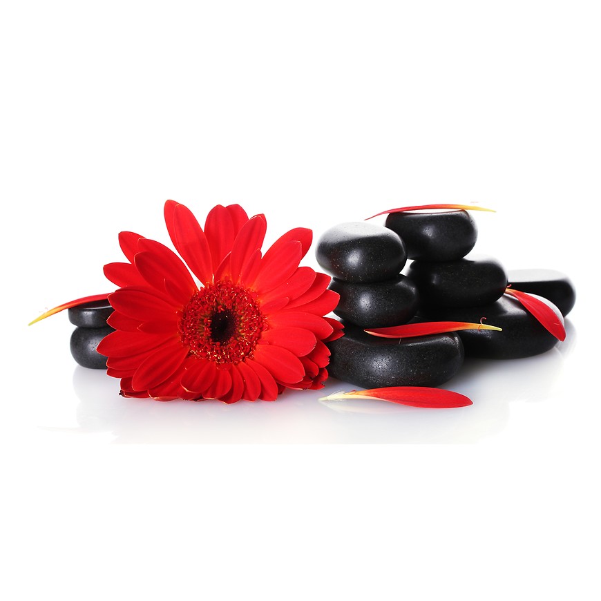 Dekor skleněný - červená gerbera 30/60 INNA