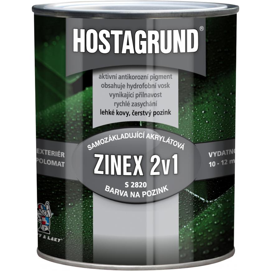 Hostagrund zinex RAL9006 stříbrná 0.6l BAUMAX