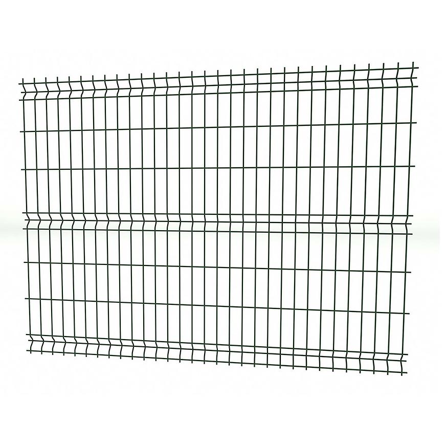 Panel 3D light II 250x123 cm – RAL 6005 BAUMAX