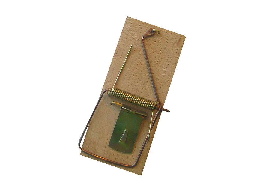 Pastička na myši dřevěná BAUMAX