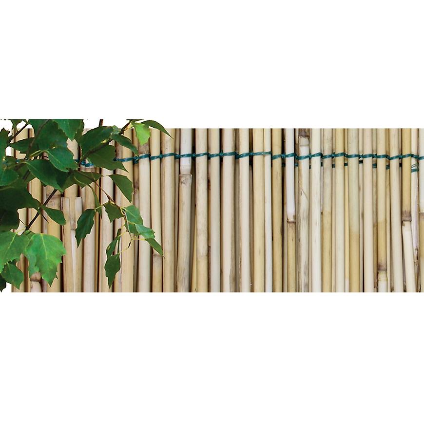 Rohož rákos extra/1x5m/pld/ 23404 BAUMAX