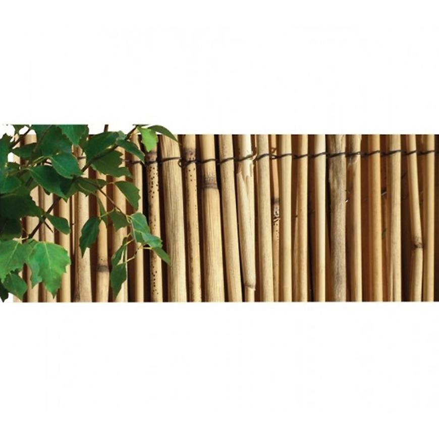 Rohož rákos káva 1x5m BAUMAX