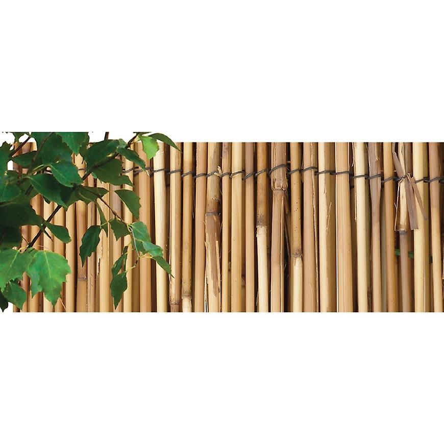 Rohož rákos káva 2x5m BAUMAX