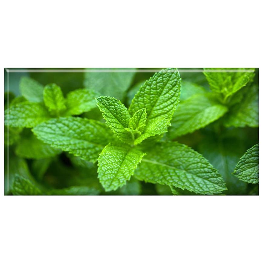 Dekor 1 Květina 10/20 AQUA MERCADO