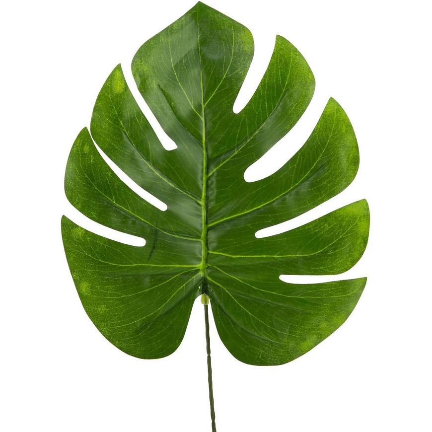 Dekorace list monstery 68 cm 442580 BAUMAX