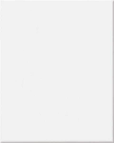 Nástěnný obklad Tania White Mat 25/35 OPOCZNO