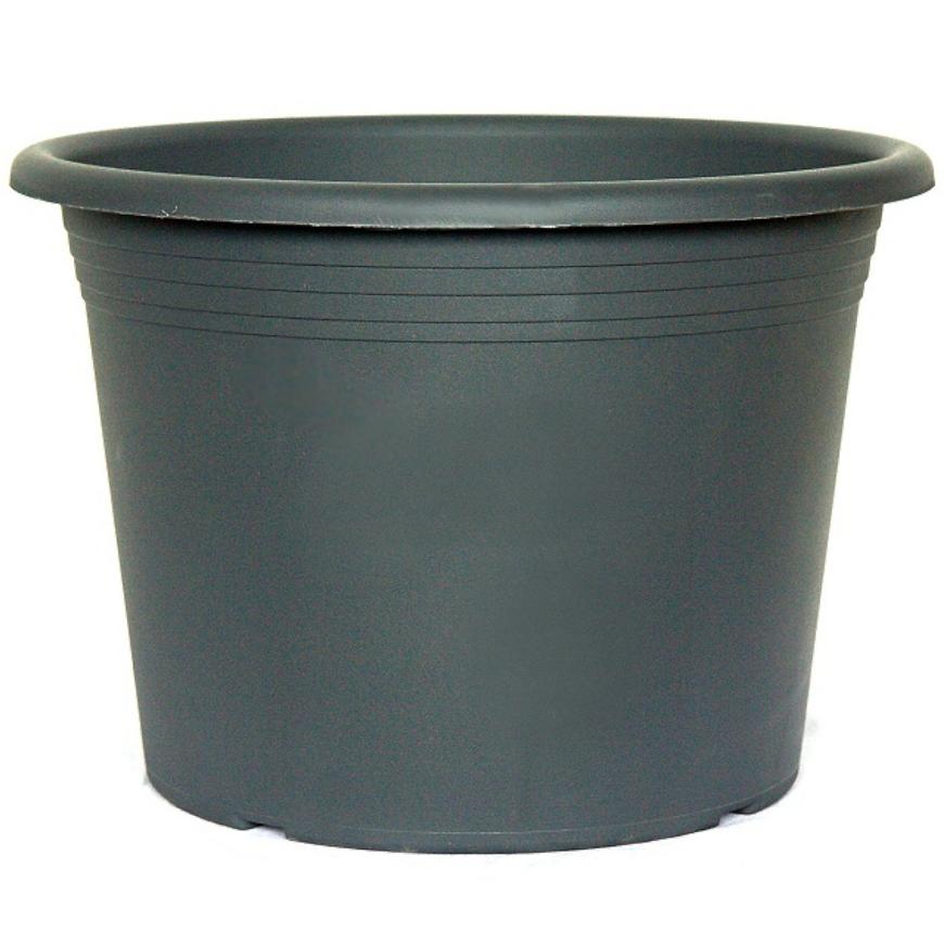 Podmiska Cima 49 cm BAUMAX