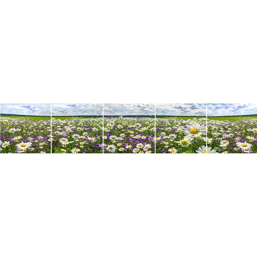 Skleněný panel 60/300 Flowers-3 5-Elem MERKURY MARKET