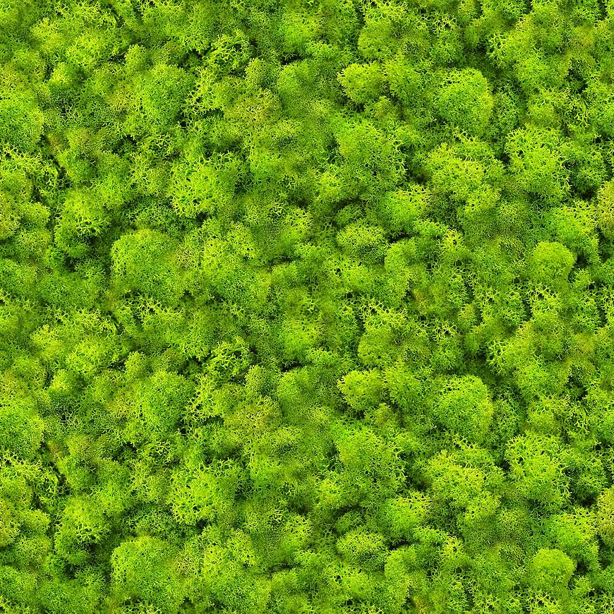 Skleněný panel 60/60 Evergreen-1 Esg AQUA MERCADO