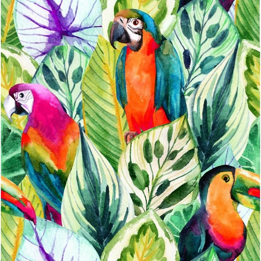 Skleněný panel 60/60 Jungle Birds-1 Esg AQUA MERCADO