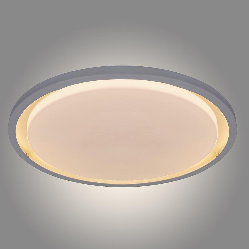 Stropní svítidlo Brady 2515 LED 24 W D50 PL BAUMAX