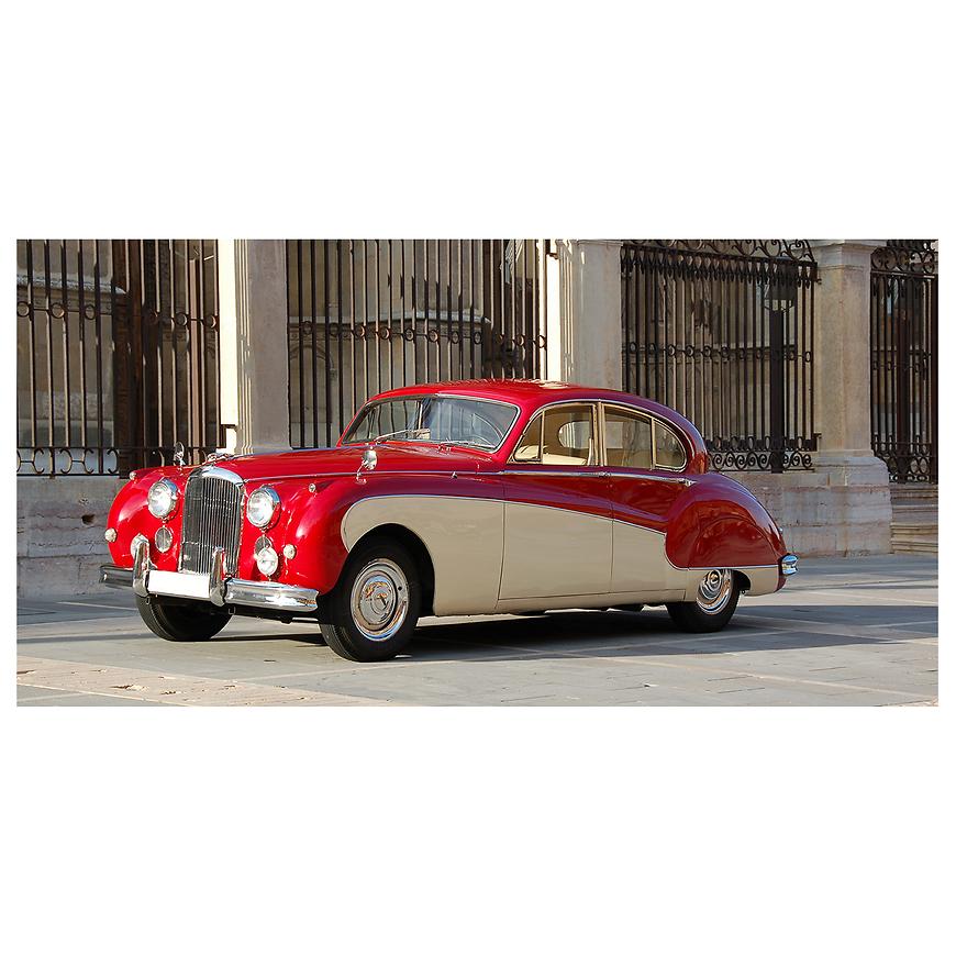 Dekor skleněný - Jaguar 30/60 INNA