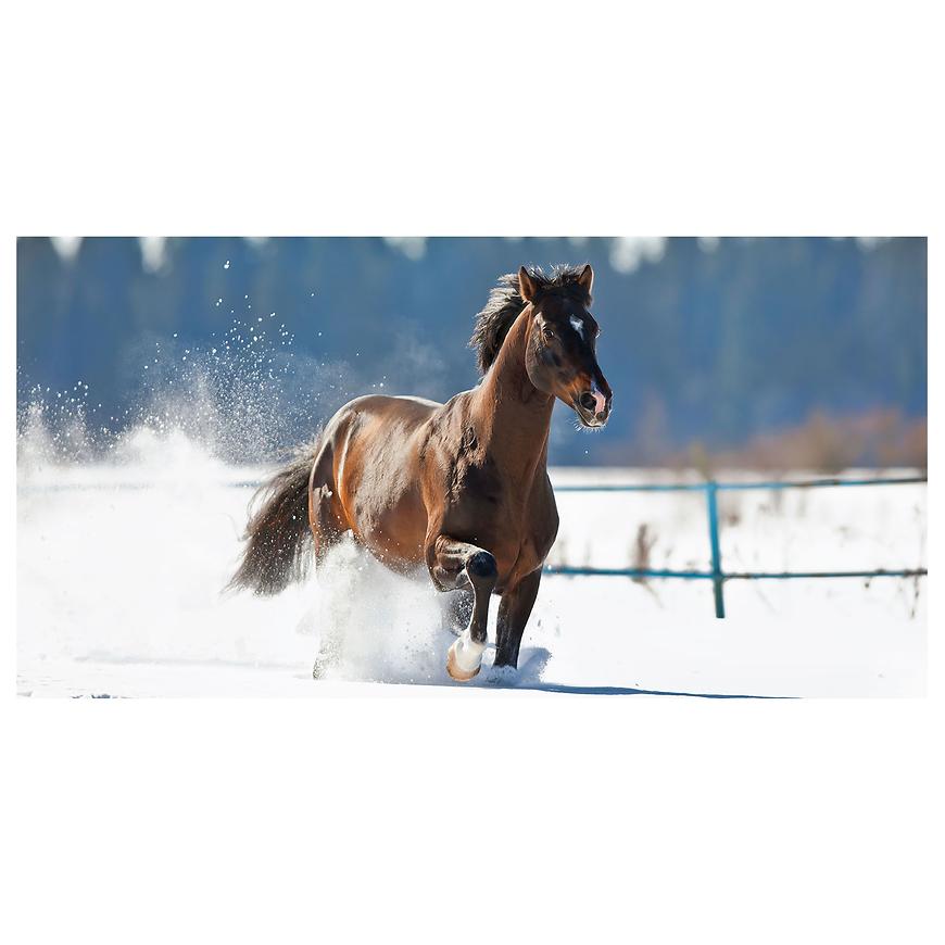 Dekor skleněný - kůň 30/60 INNA