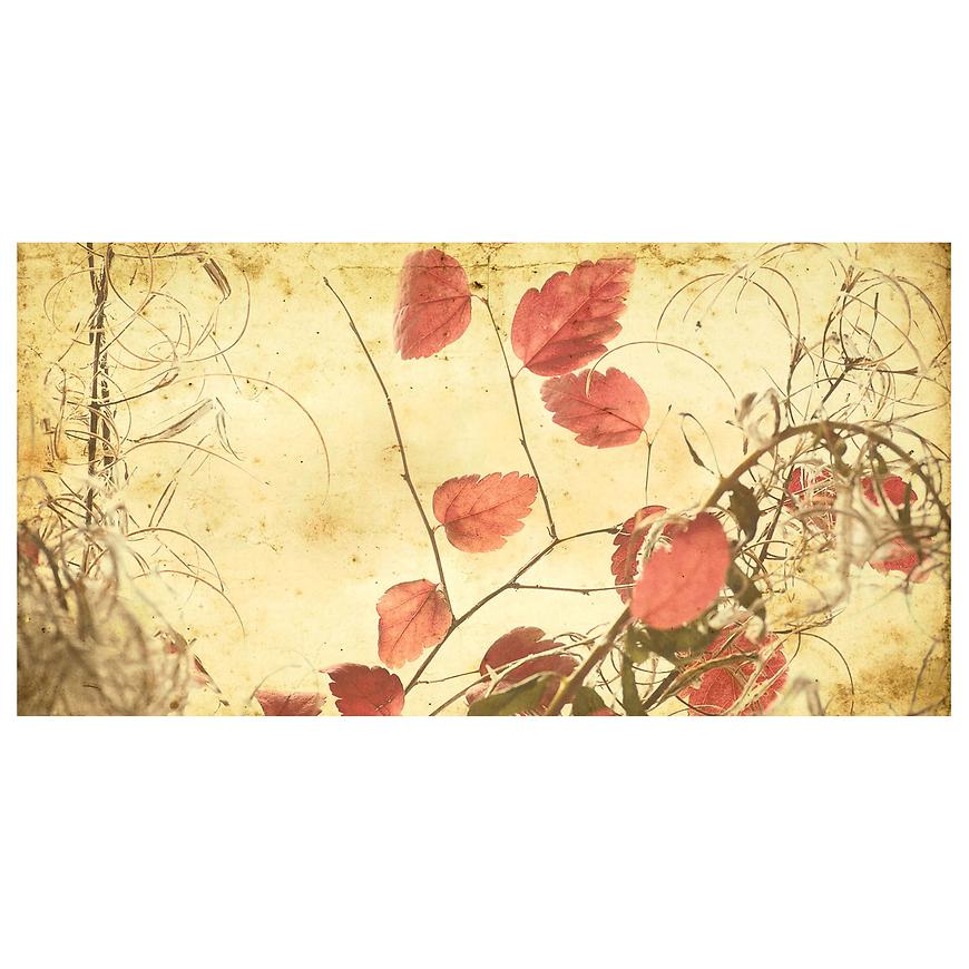 Dekor skleněný - listy 30/60 INNA