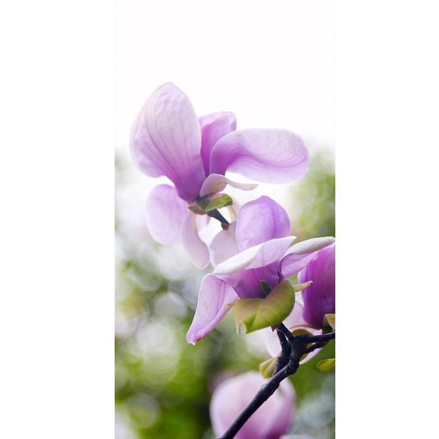 Dekor skleněný - magnólie 30/60 INNA