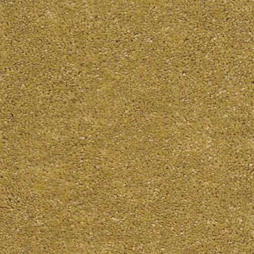 Kobercová krytina 4M Gerbera 50 Baumax