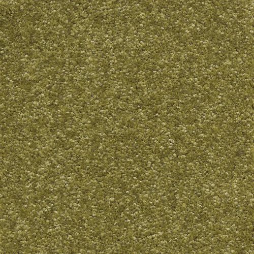 Kobercová krytina 5M Gerbera 23 Baumax