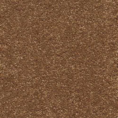 Kobercová krytina 5M Gerbera 38 Baumax