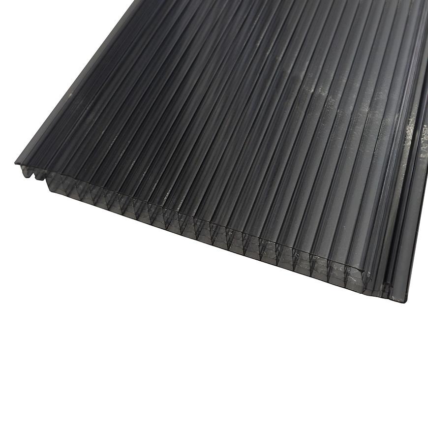 Polykarbonátová deska EASYPIU 2000x250x16 mm kouřová Baumax