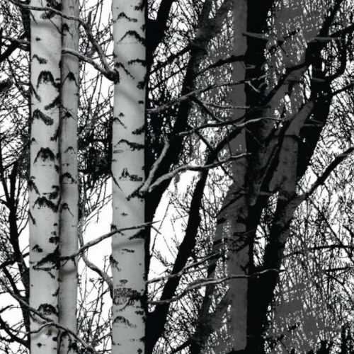 Samolepící­ tapeta 2003197 0