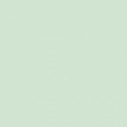 Silikonová omítka Baumit Startop 1