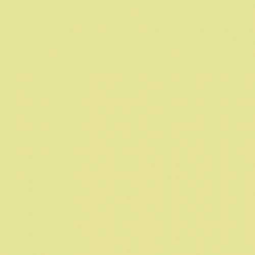 Silikonová omítka Baumit Startop 1