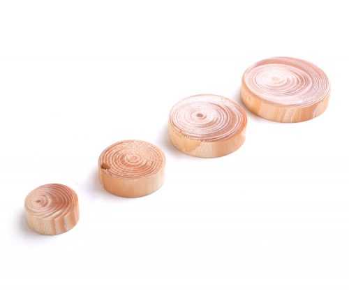 Větvový suk smrk - 20x7mm