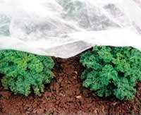 Textilie netkaná bílá 1