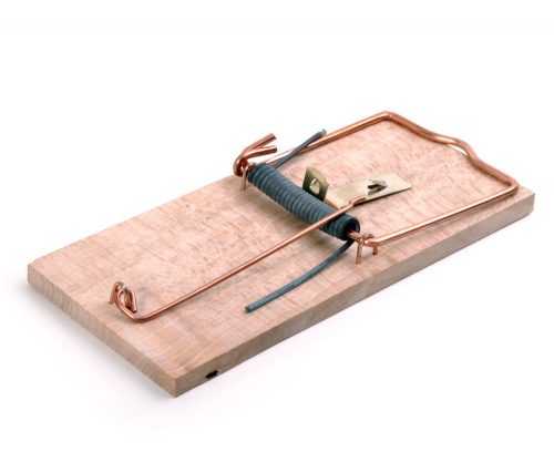 Past na krysy dřevěná