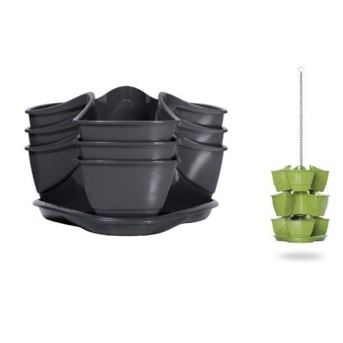 Sada petrželák závěsný COUBI HERBAL