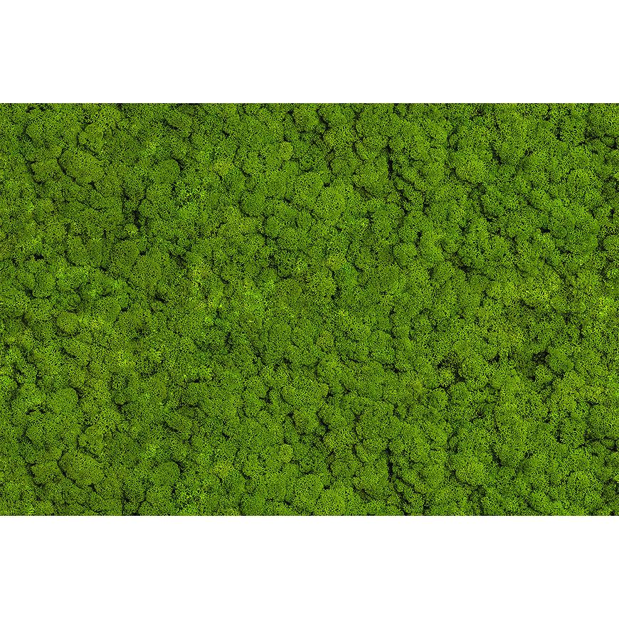 Dekor skleněný Chrobotek 30/60 Aqua Mercado