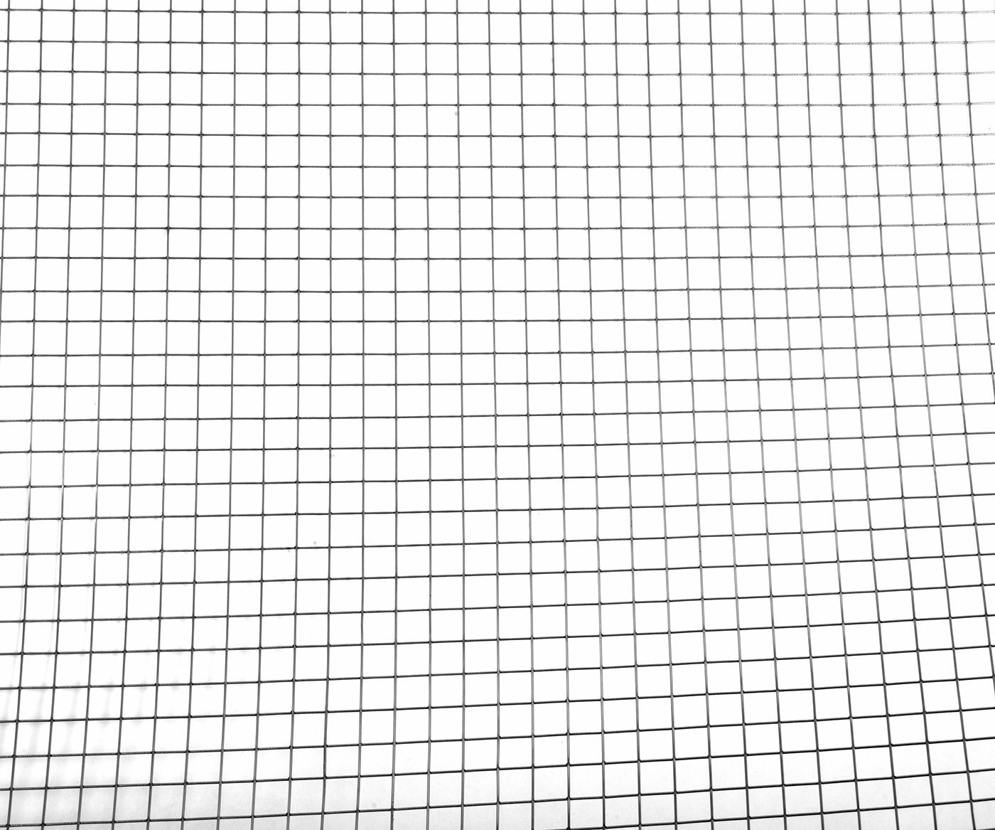 Síť svařovaná nerez - 19/1mm 25m