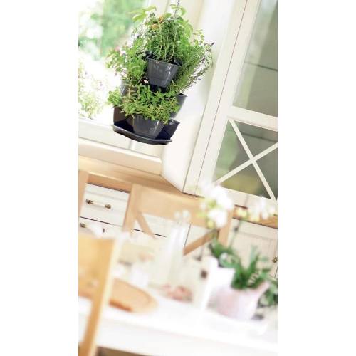 Sada petrželák závěsný COUBI HERBAL