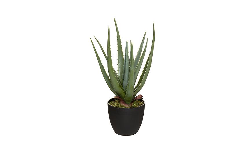Umělá rostlina - Aloe vera v květináči V44 cm Baumax