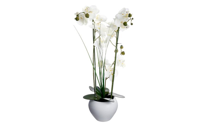 Umělá rostlina - Orchidej v květináči 53 cm