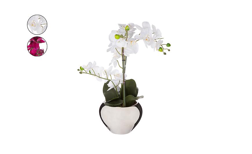 Umělá rostlina - Orchidej v květináči 75 cm Baumax