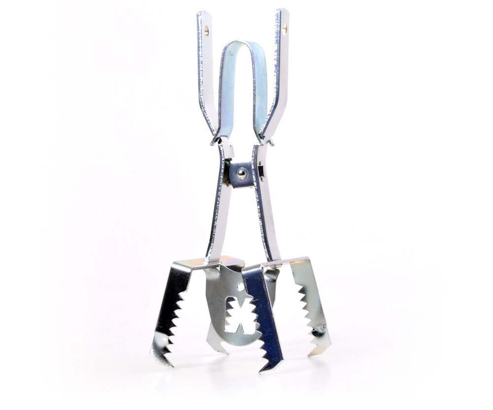 Past na hraboše a hryzce klešťová