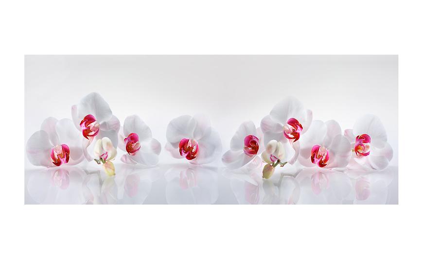 Obraz na skle Orchidej 125x50 cm Baumax