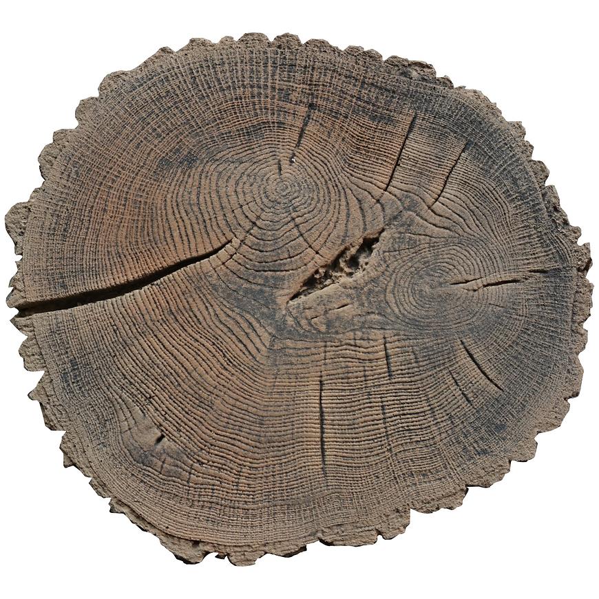 Zahradní nášlap - Kmen stromu (Betonový) Baumax