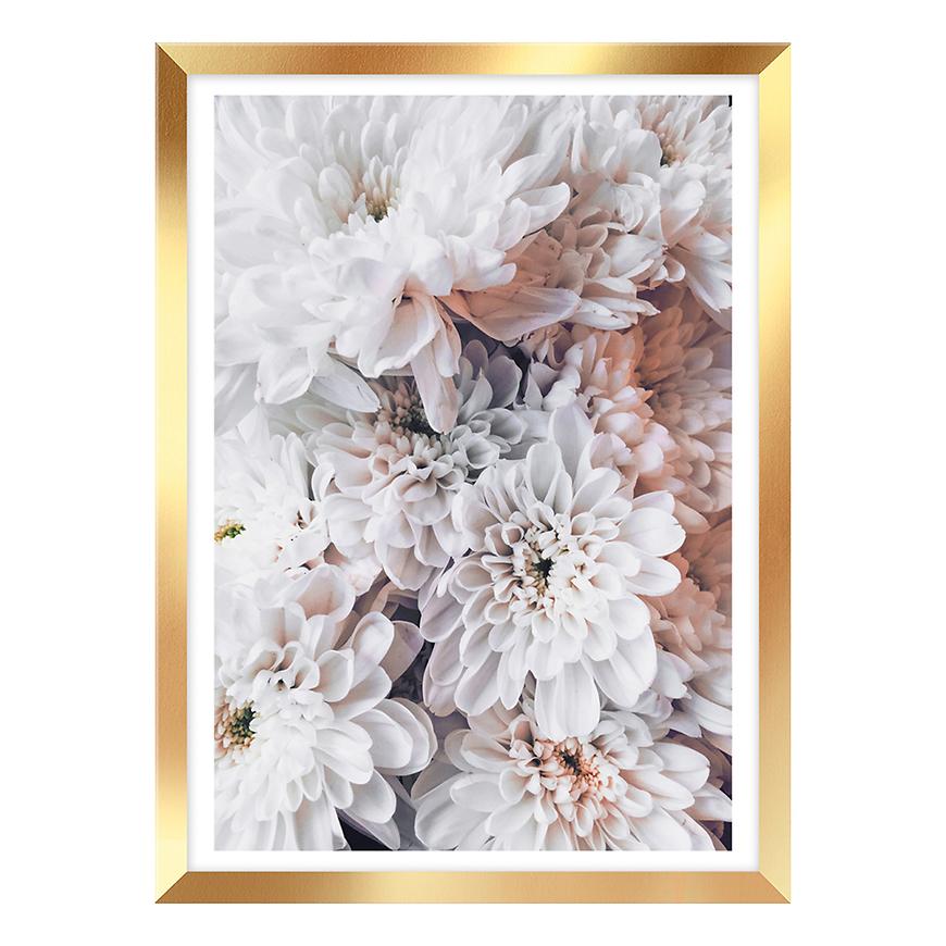 Obraz Framepick 30x40 FP010 Dahlias STYLER