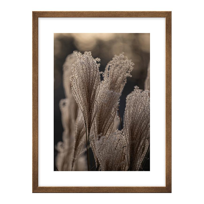 Obraz 30x40 kno3040.075 l13.15.052 měď Baumax