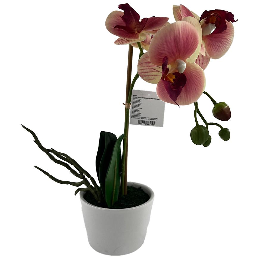 Orchidej - mix 3 barev 30 cm Baumax