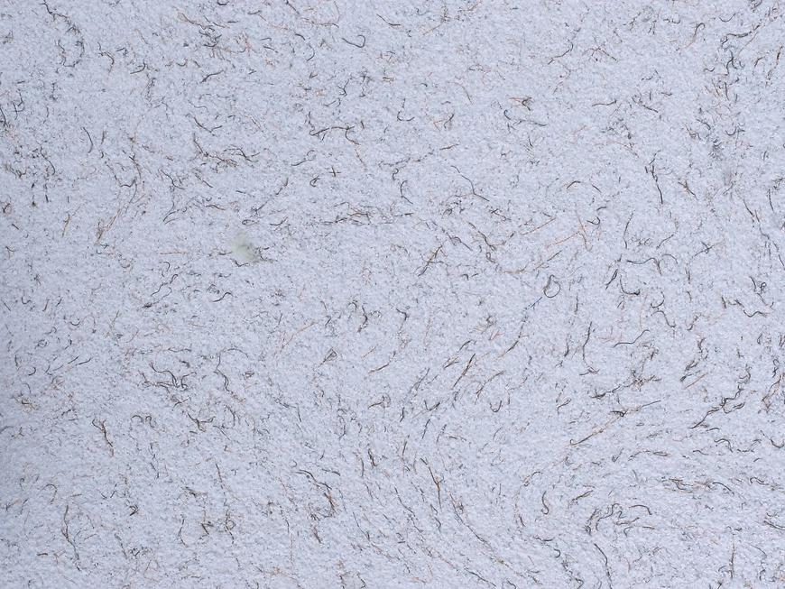 POLDECOR bavlněné tapety vzor 22/8 POLDECOR