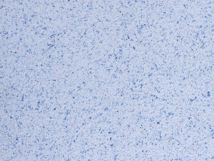 POLDECOR bavlněné tapety vzor 23/10 POLDECOR