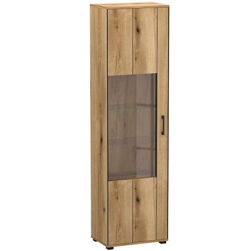 Vitrína Kendal A Light + Black Baumax